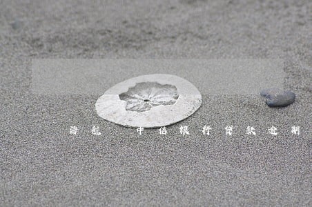 海航 中信银行贷款逾期 海航 中信银行贷款逾期